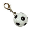サッカー記念品